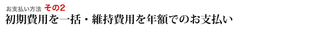 初期費用を一括・維持費用を年額でのお支払い