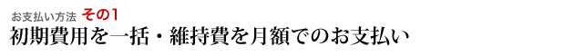 初期費用を一括・維持費を月額でのお支払い